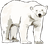 NullZero